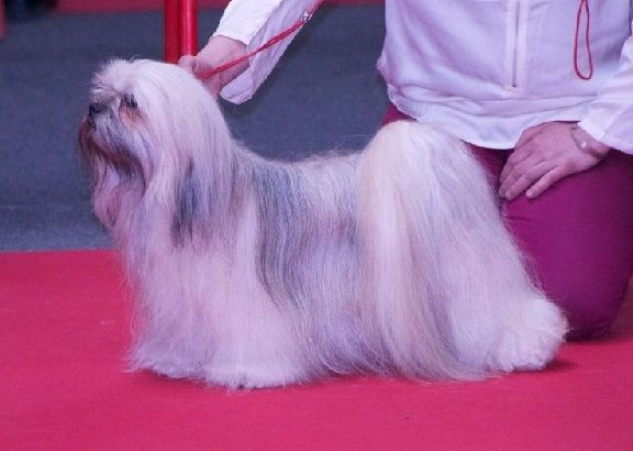 Hadele hyo sonn des fillots de morphée