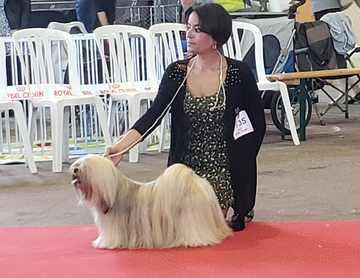 Bientôt des bébés